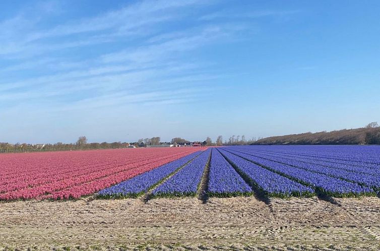 Vakantiehuis mit gepflegtem Garten in Julianadorp