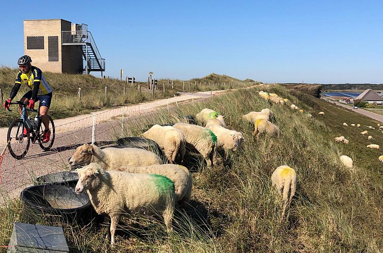Strandslag 225 Julianadorp aan zee