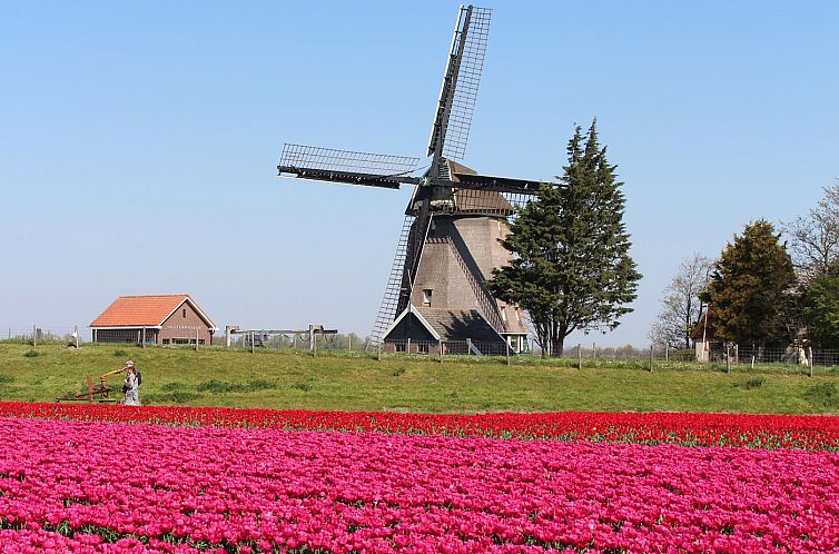 Résidence Juliana 54 Julianadorp aan zee