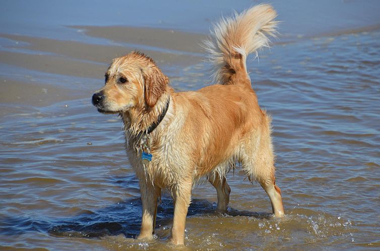 Strandslag 223 Julianadorp aan zee