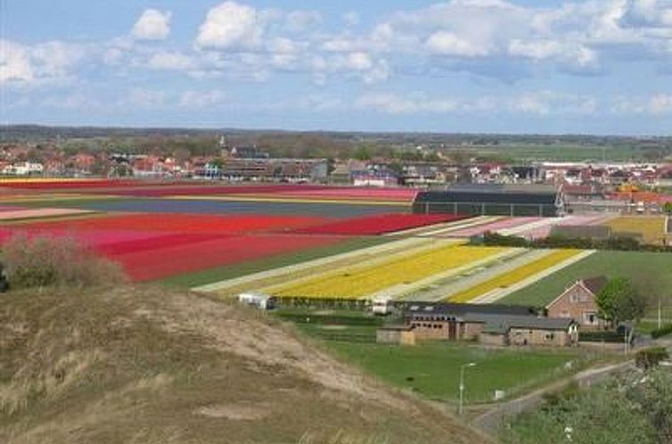 Vakantiehuis mit Terrasse