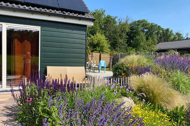 Vakantiehuis in Callantsoog