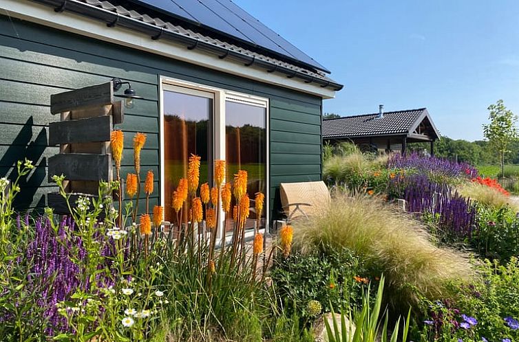 Vakantiehuis in Callantsoog