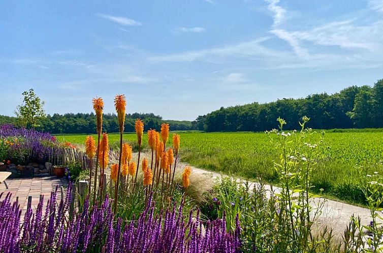 Vakantiehuis in Callantsoog