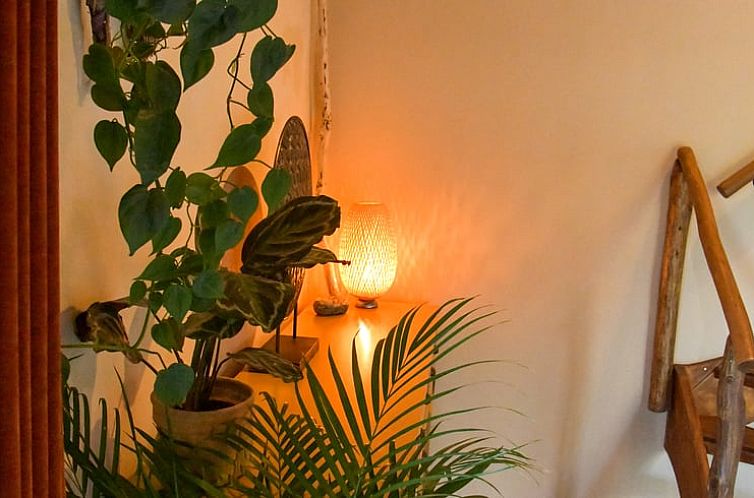 Vakantiehuis in Callantsoog