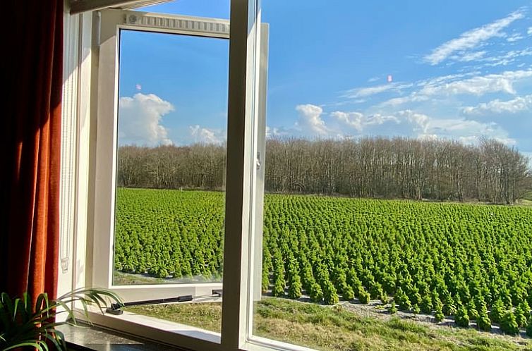 Vakantiehuis in Callantsoog