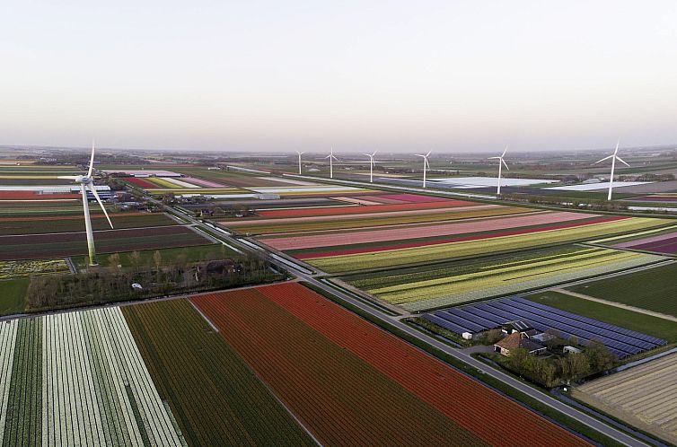 Wijde Blick 206 Callantsoog