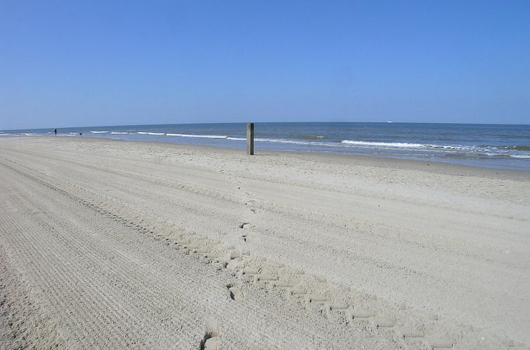 Wijde Blick 206 Callantsoog