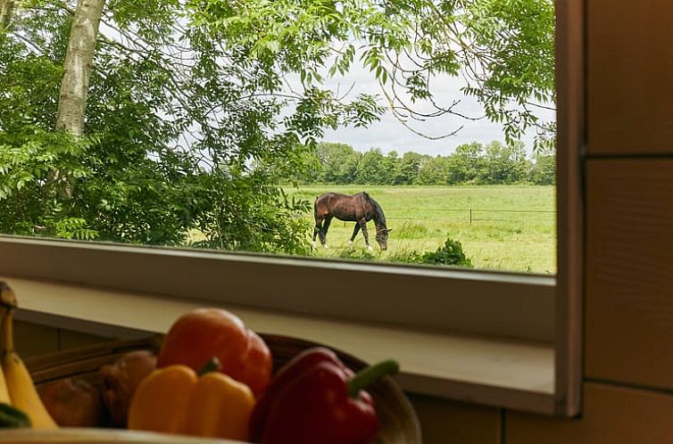 Vakantiehuis in schoorldam