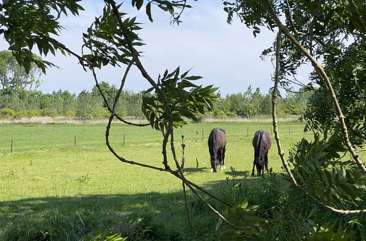 Vakantiehuis in schoorldam