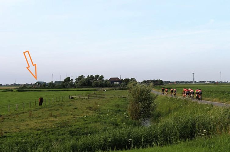 Uitzicht op groene velden bij Vakantiehuisje in Burgerbrug, Noordzeekust, Noord-Holland.