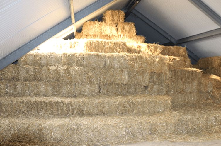 Vakantiehuisje in Burgerbrug