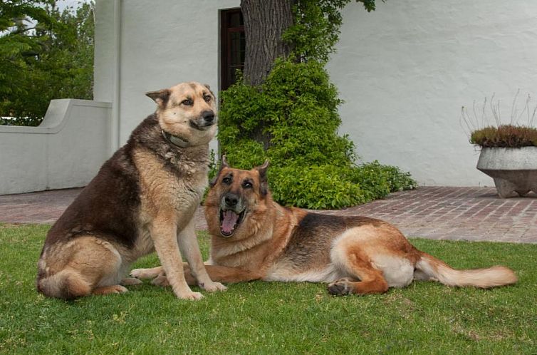 La Galiniere Guest Cottages