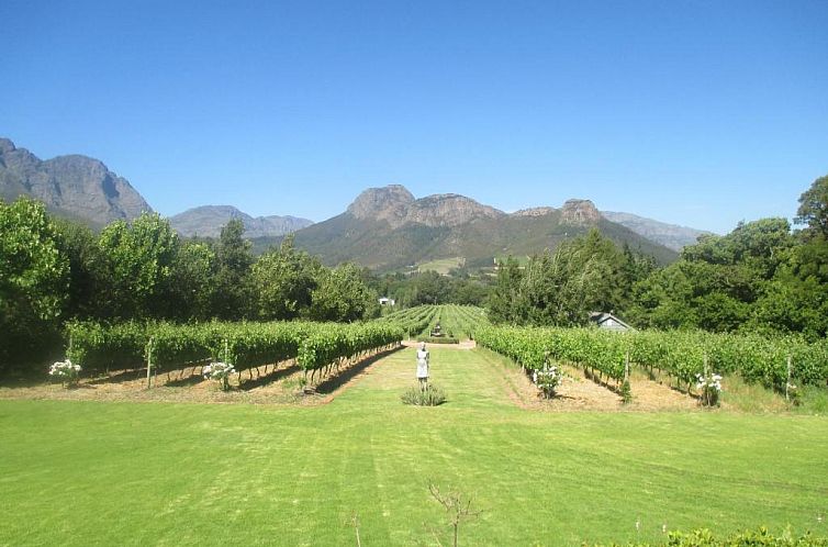 Franschhoek Rose Cottages