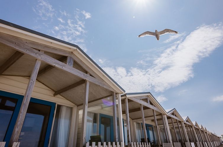Beach House Sea 6, een charmant vakantiehuis aan de Noordzeekust in Wijk aan Zee, Noord-Holland, met een zonnig terras en prachtige zeezicht.