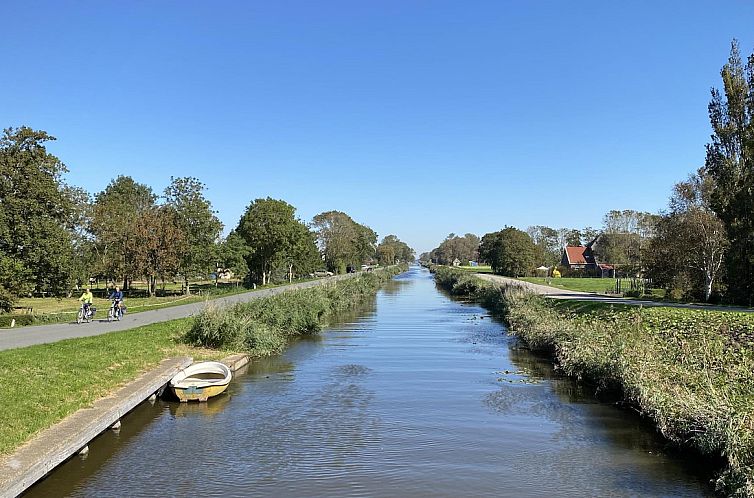 Campanula 52 Sint Maartenszee