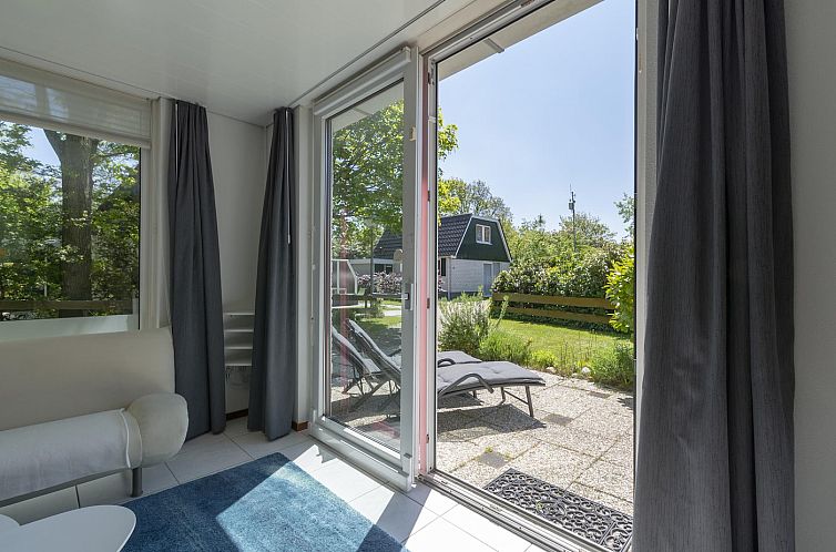 Campanula 52 Sint Maartenszee