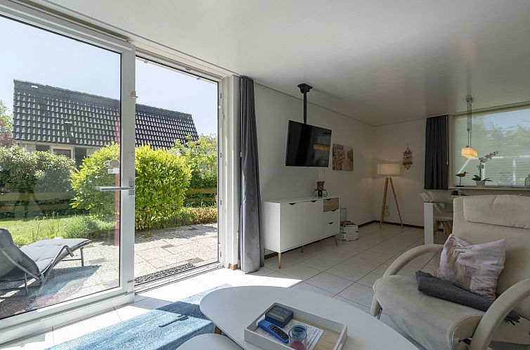 Campanula 52 Sint Maartenszee