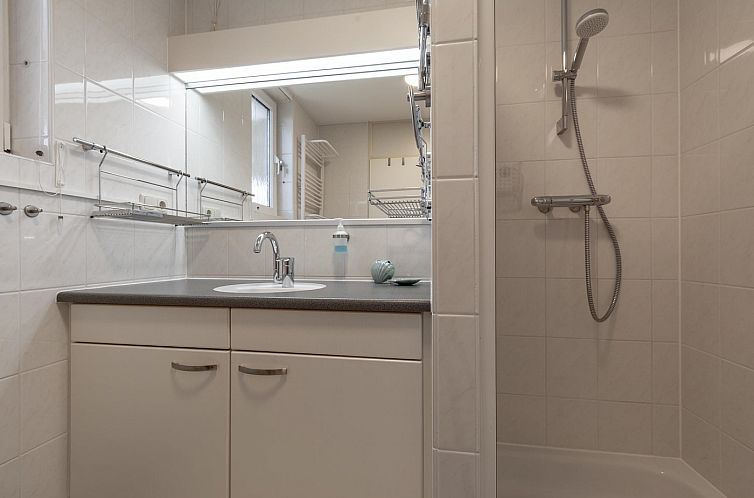 Campanula 52 Sint Maartenszee