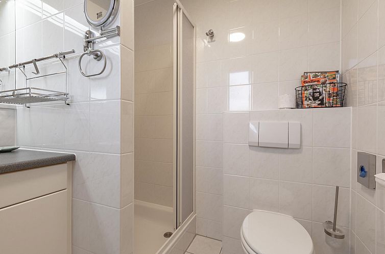 Campanula 52 Sint Maartenszee