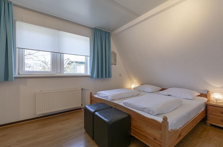 Campanula 52 Sint Maartenszee