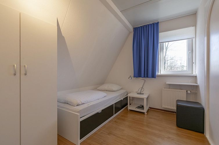 Campanula 52 Sint Maartenszee