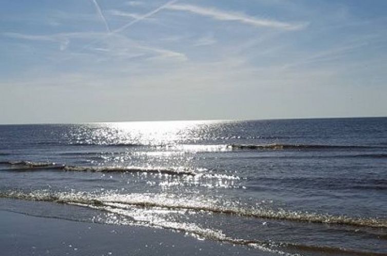 Boutique B&B de Swaeneboet