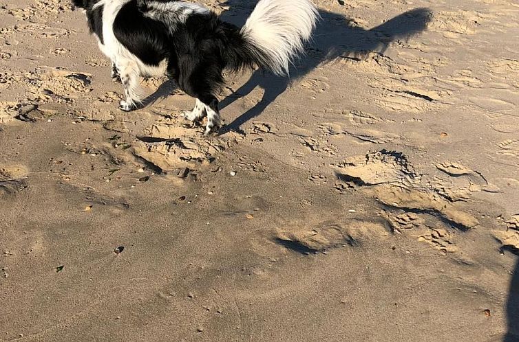 Vakantiehuis "Casa Juliana" mit privatem Garten