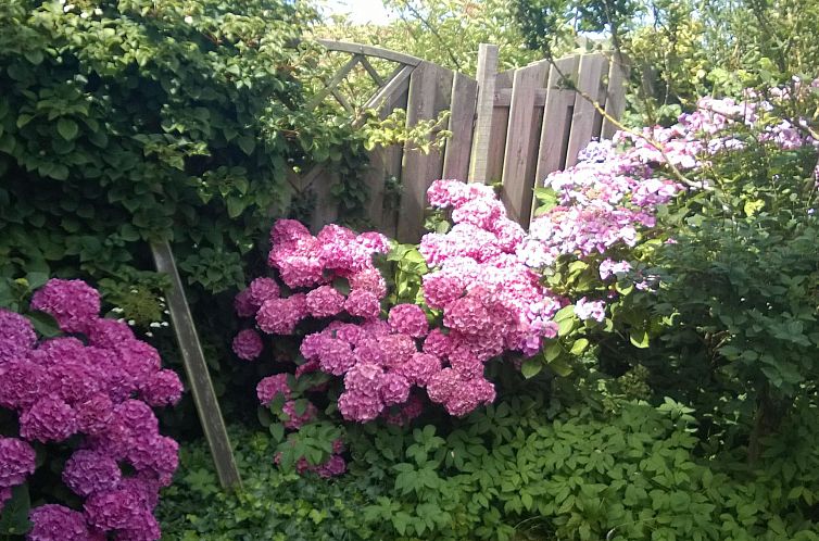 Vakantiehuis "Casa Juliana" mit privatem Garten