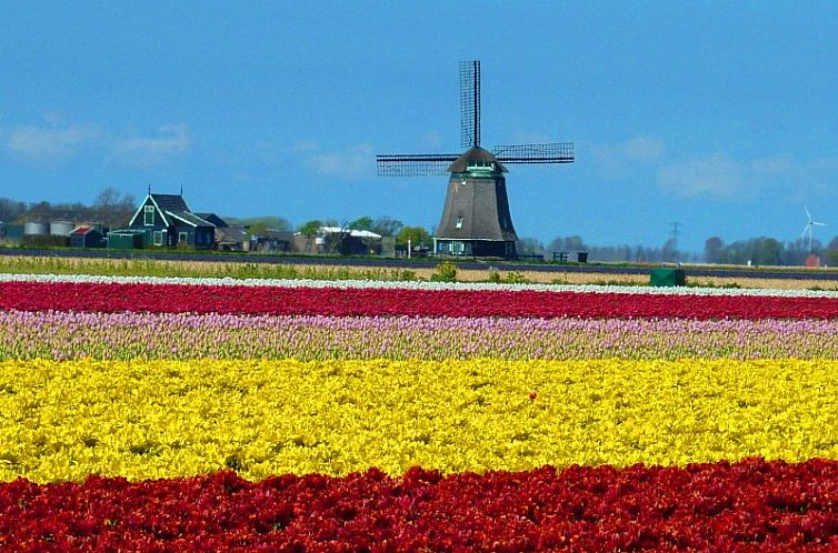 100 jaar oude stolpboerderij