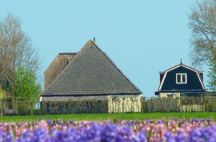 100 jaar oude stolpboerderij