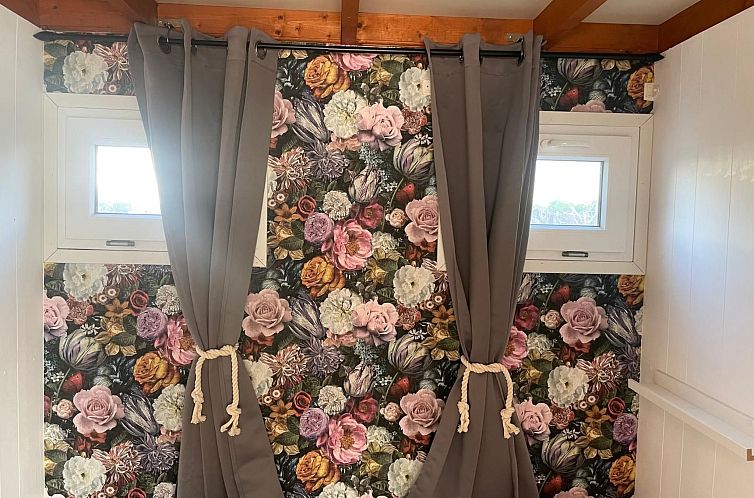 Appartement Haus Moony