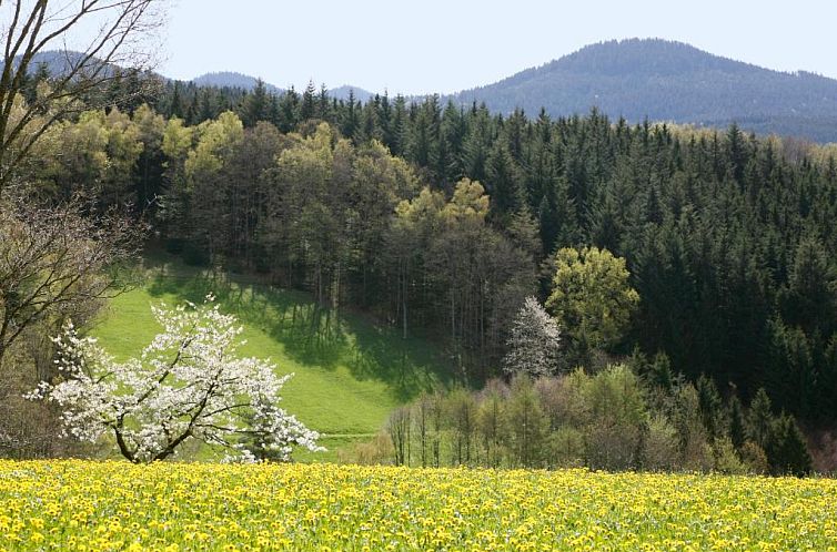 Schmalzerhisli
