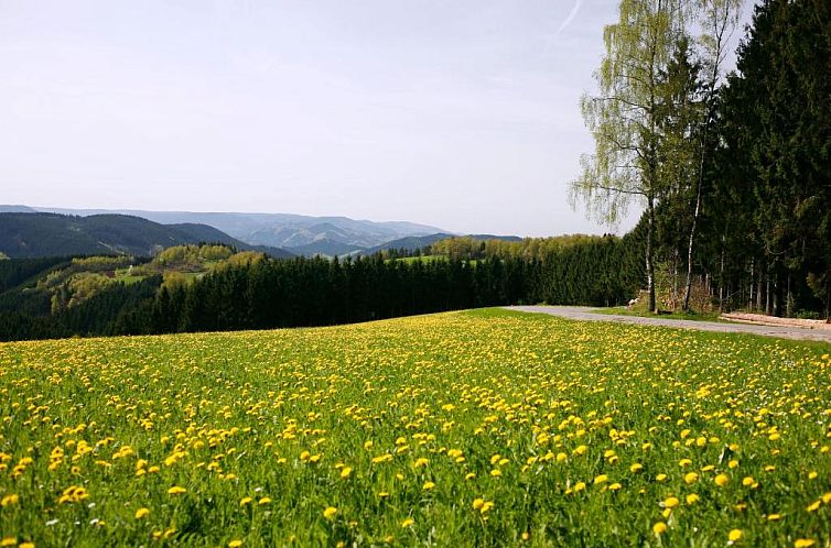 Schmalzerhisli