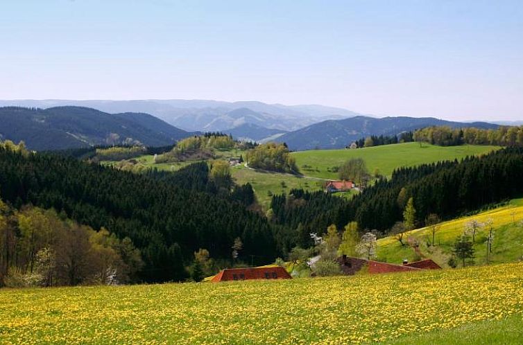 Schmalzerhisli