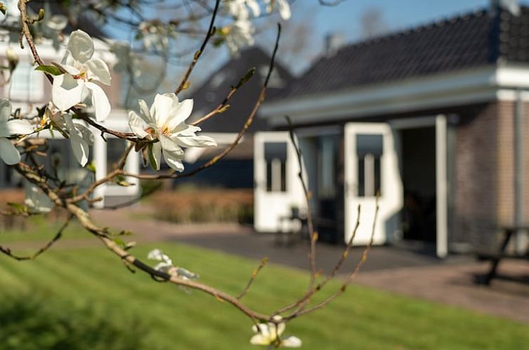 Vakantiehuis in Breezand