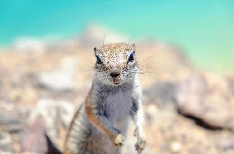 AVANTI Lifestyle Hotel - Only Adults