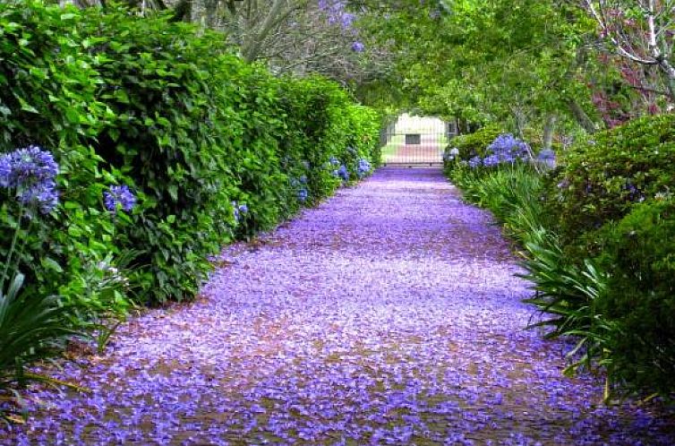 Malvern Manor Country Guest House