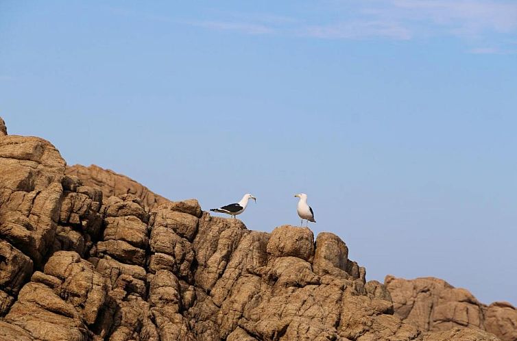 Blue Whale Resort
