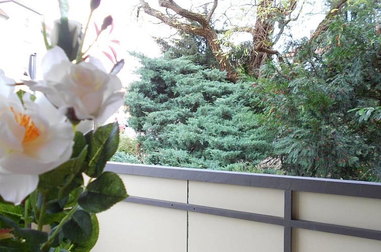 Apartments Hofgarten