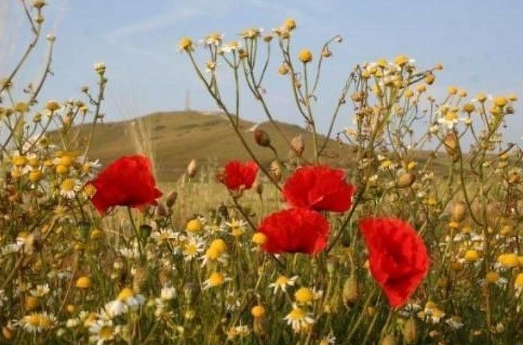 Vakantiehuis Wunderschönes Haus mit Pool, Garten und Grill