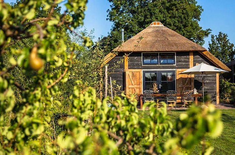 Vacation home in Tuitjenhorn with thatched roof and terrace, surrounded by green nature in North Holland.