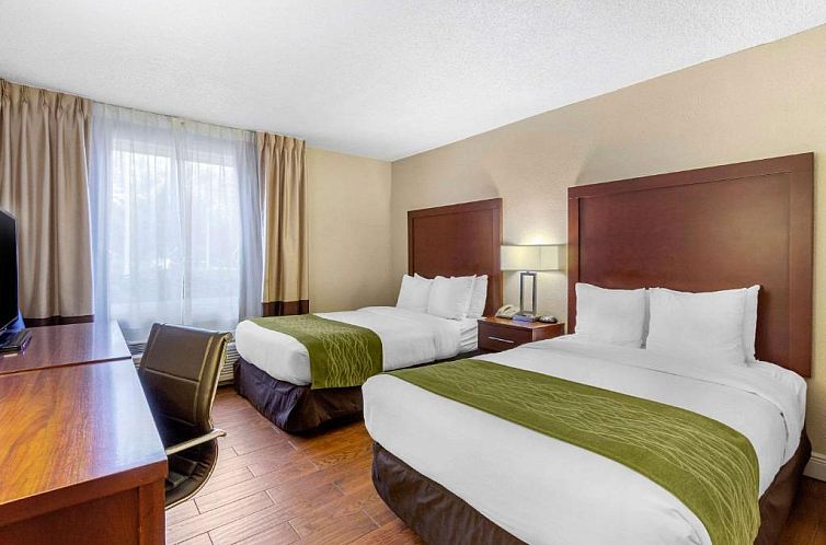 Comfort Inn St Petersburg North