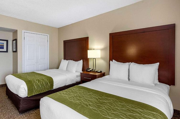 Comfort Inn St Petersburg North