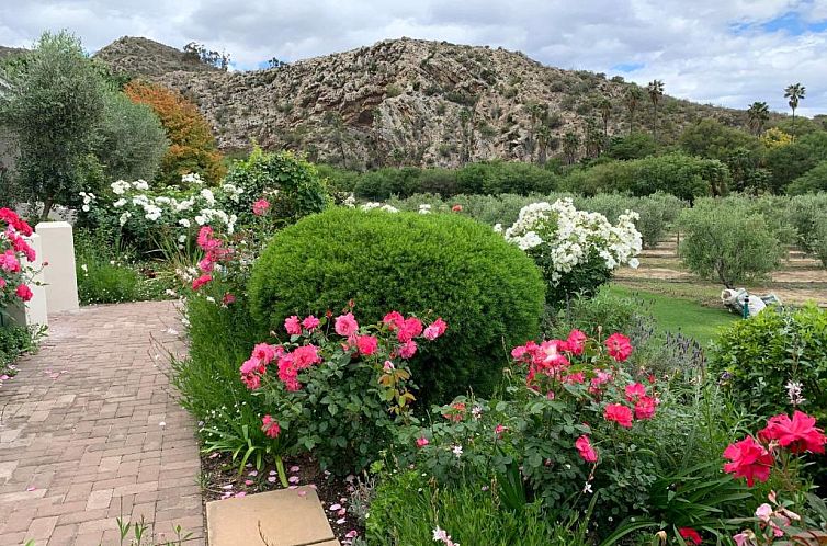 Montagu Vines Guesthouse