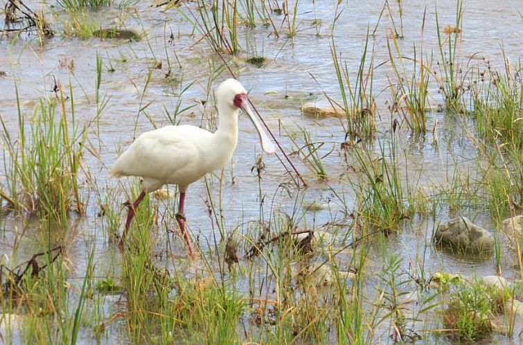 Montagu Springs Resort