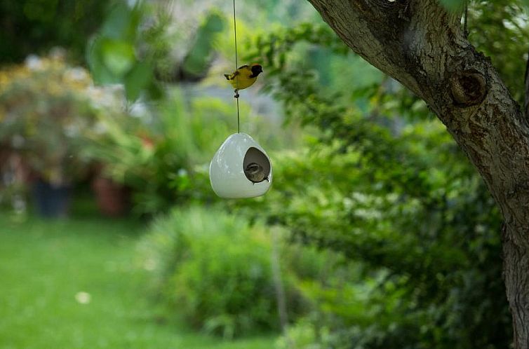 In Abundance Guest House