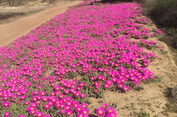Bon Accord Farm Cottages