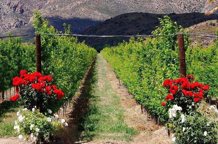 Bon Accord Farm Cottages