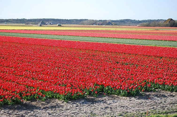 Wildrijk 159